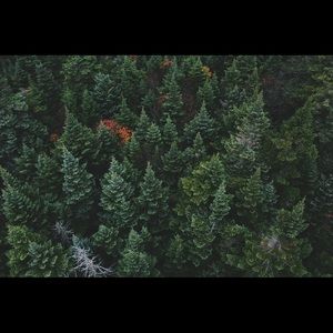 Meet your Posher, Colton